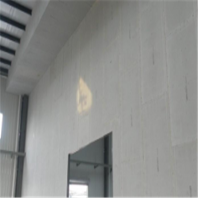 连江宁波ALC板|EPS加气板隔墙与混凝土整浇联接的实验研讨